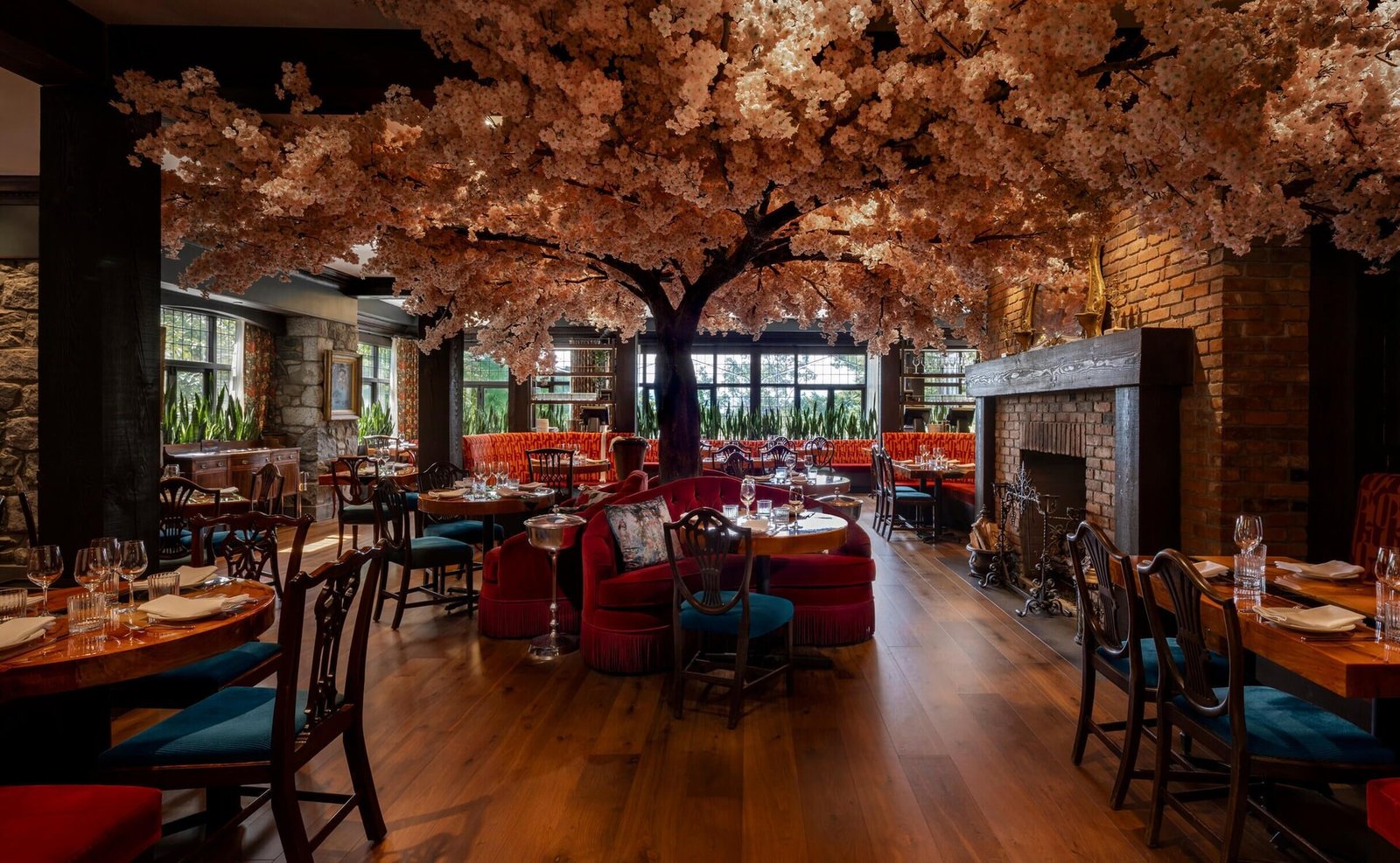 Rosemead House, janevca kitchen & lounge
