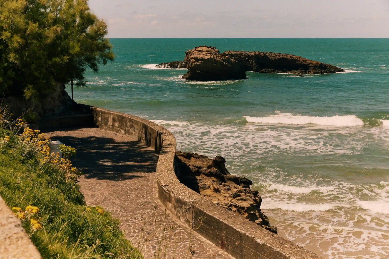 Regina Experimental Biarritz, vibe