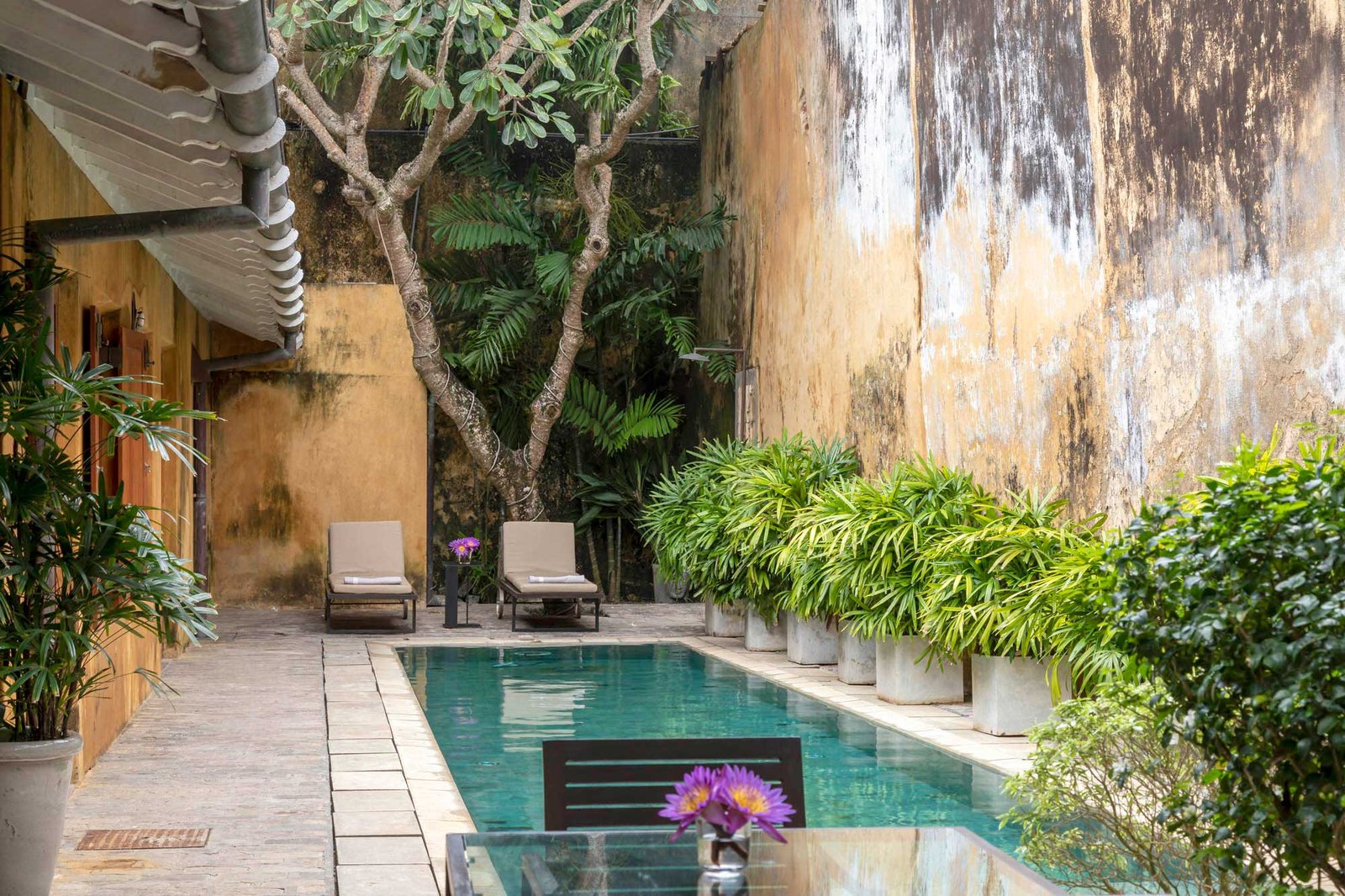 The Fort Printers, the pool