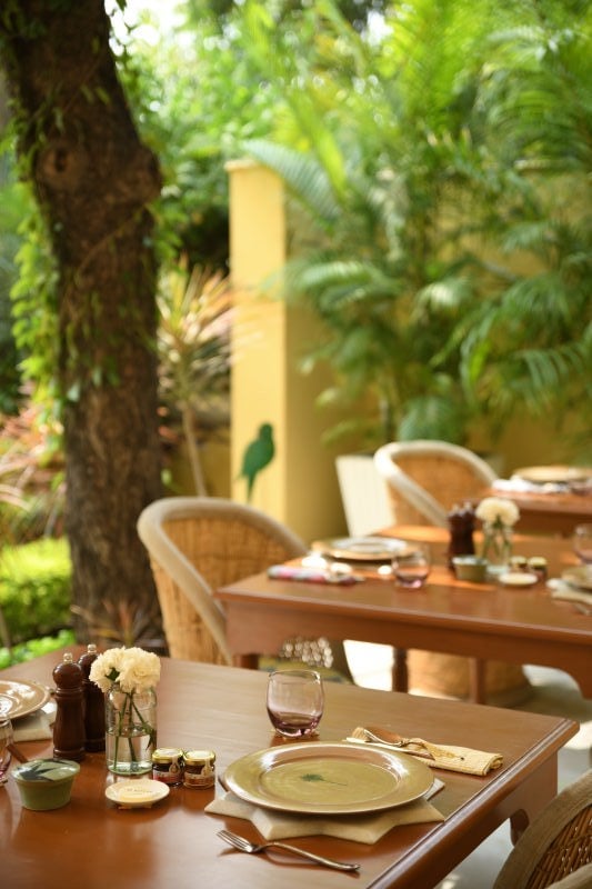 28 Kothi, cafe kothi