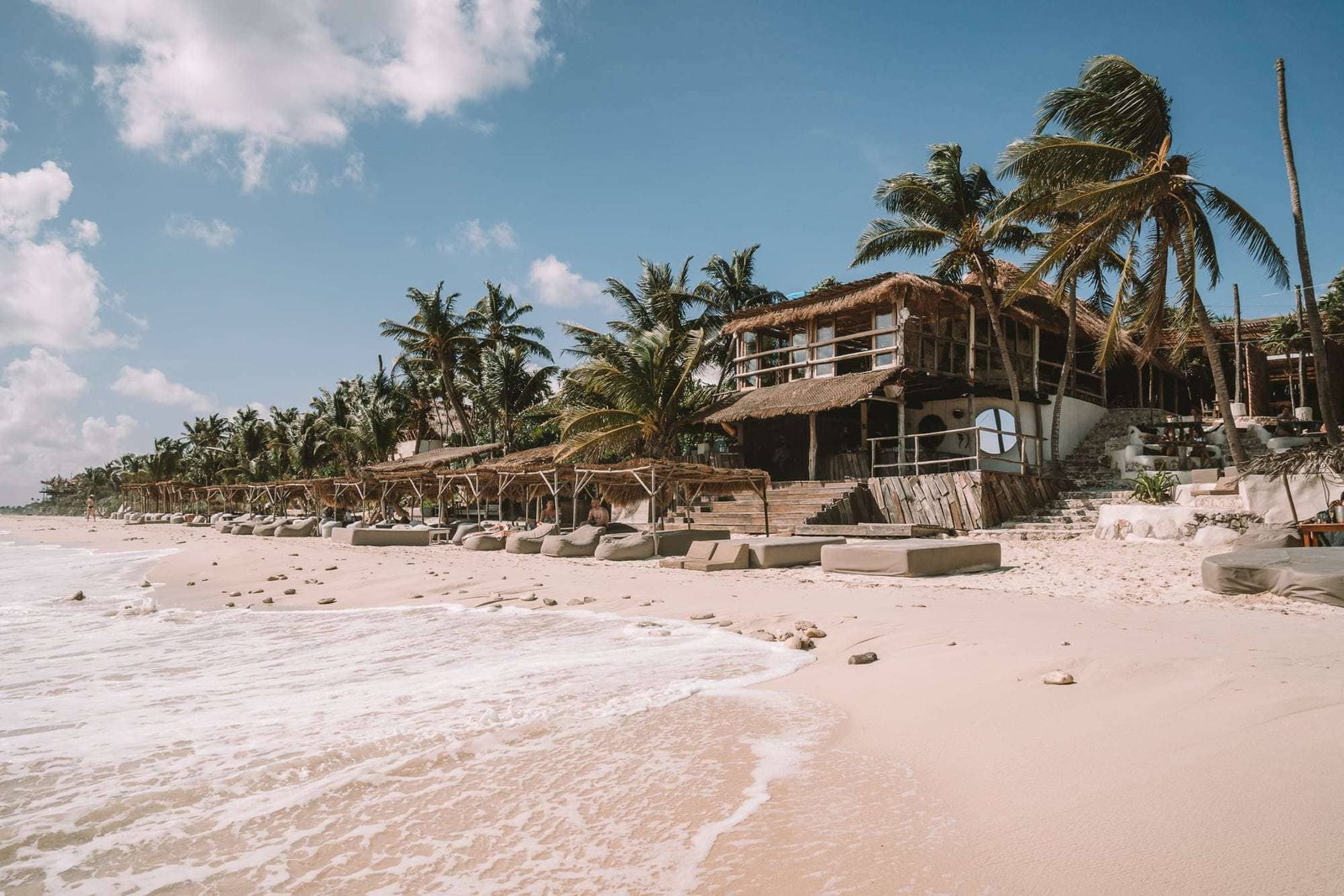 Papaya Playa Project, how it began