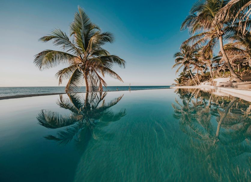 Papaya Playa Project, the pool