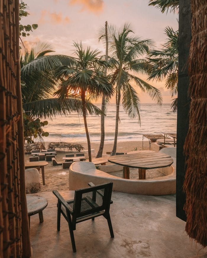 Papaya Playa Project
