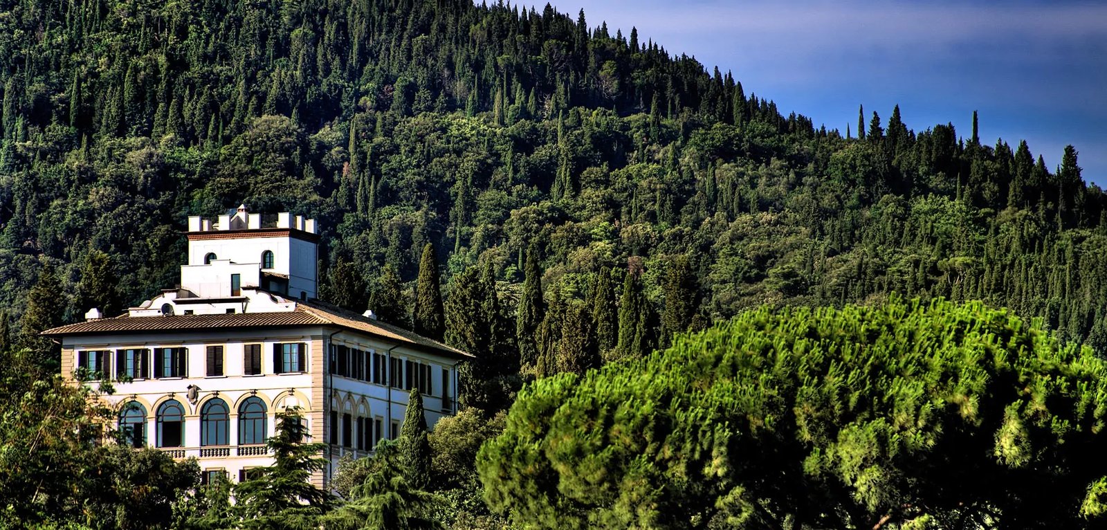 Il Salviatino — backstory