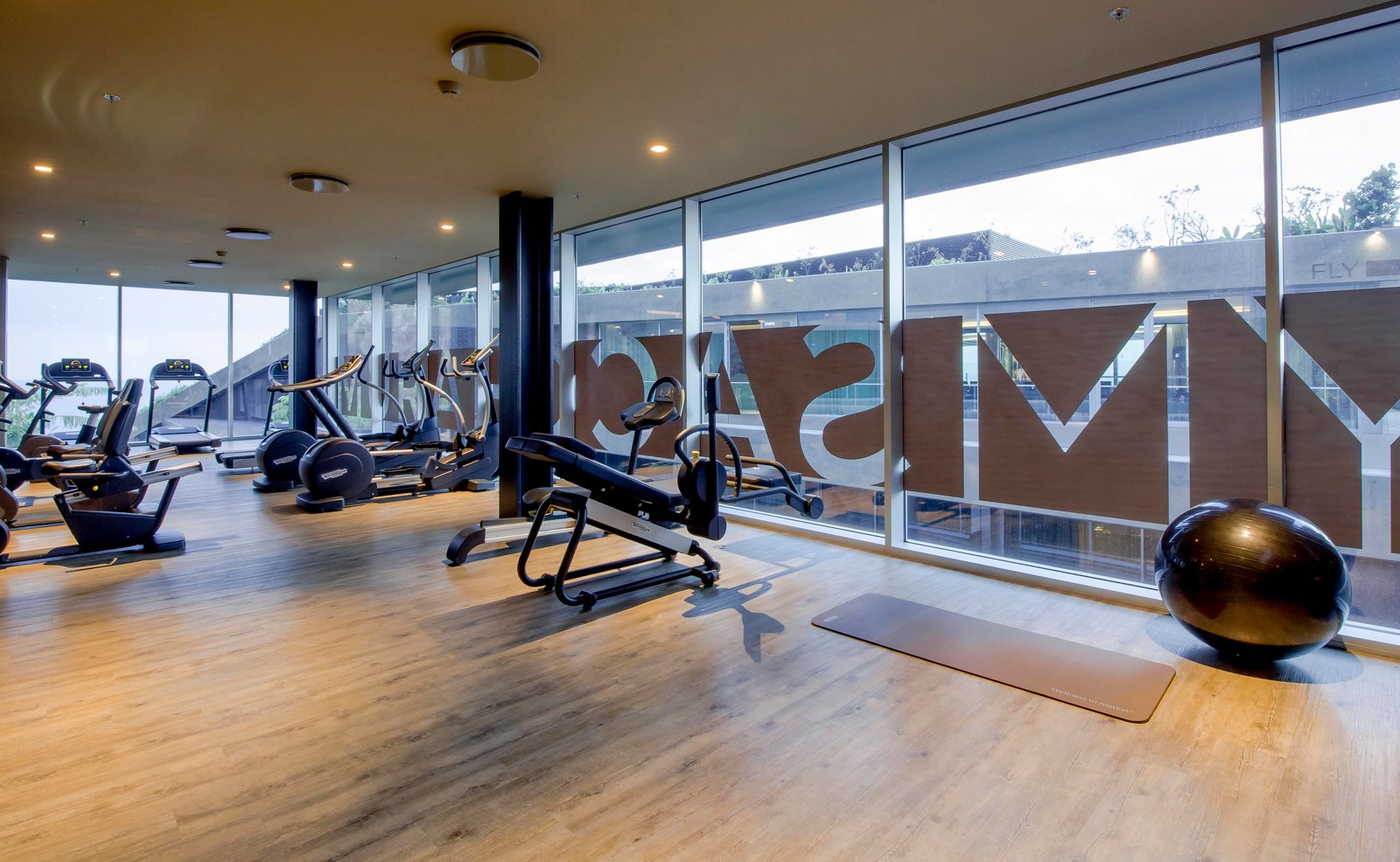 Saccharum, the gym