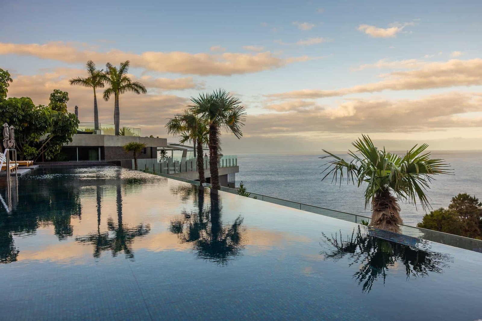 Saccharum, the pool