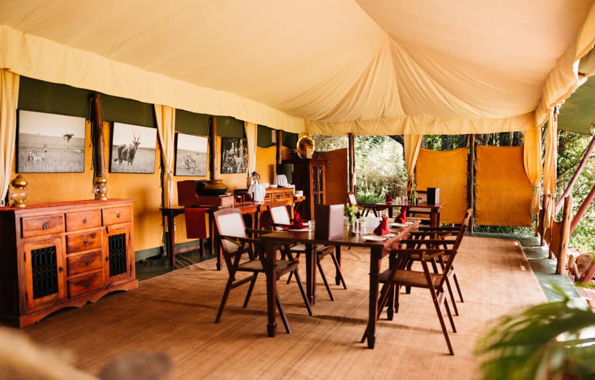 Elephant Pepper Camp
