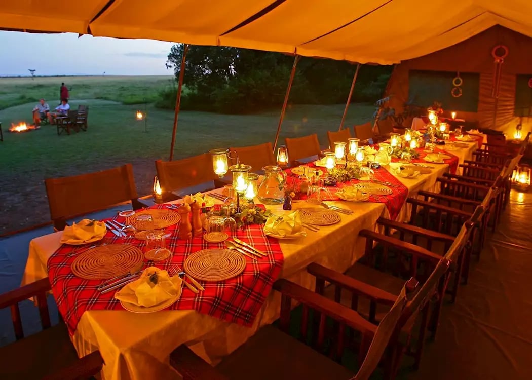 Elephant Pepper Camp