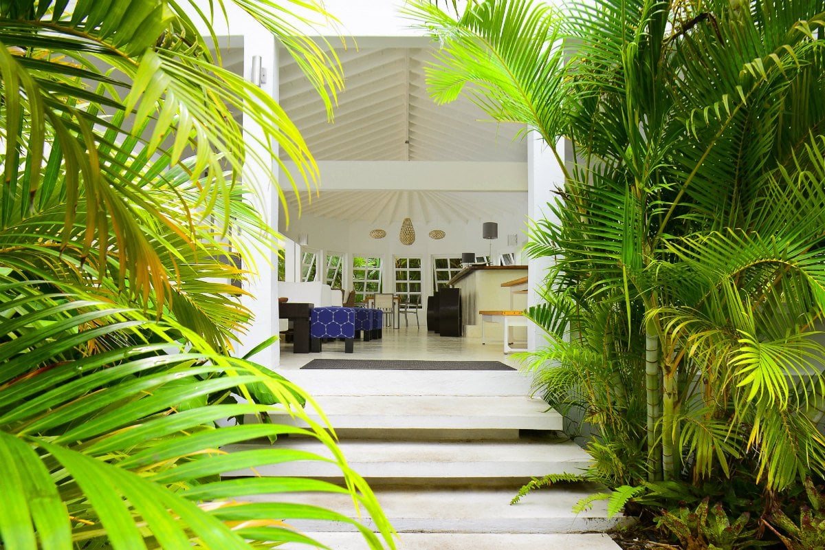 Montpelier Nevis, indigo