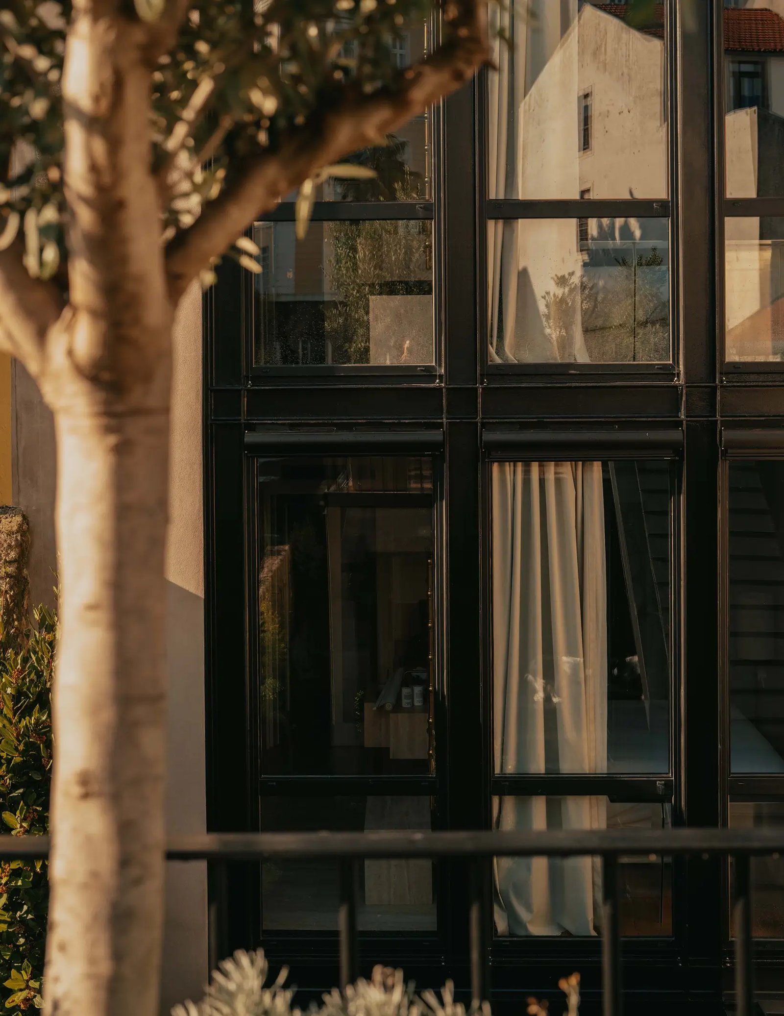 Casa Cedo Porto, how it began