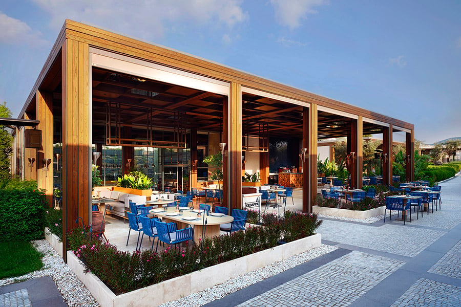 Voyage Torba, at the table