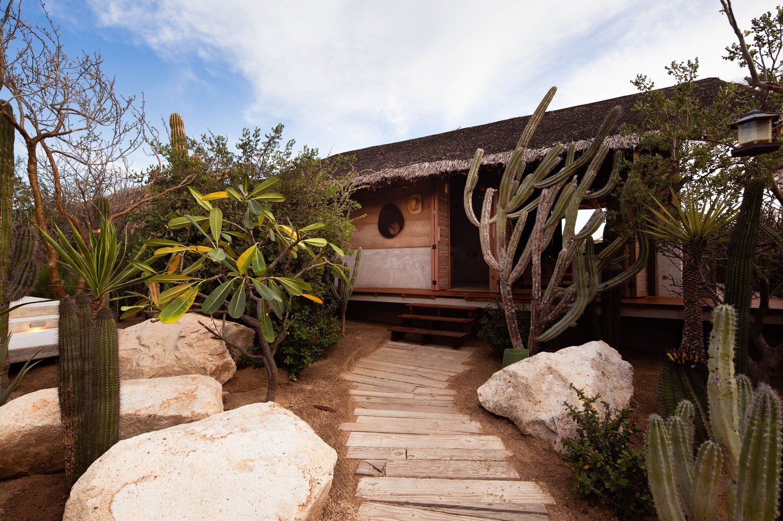 El Perdido Desert Dream, backstory