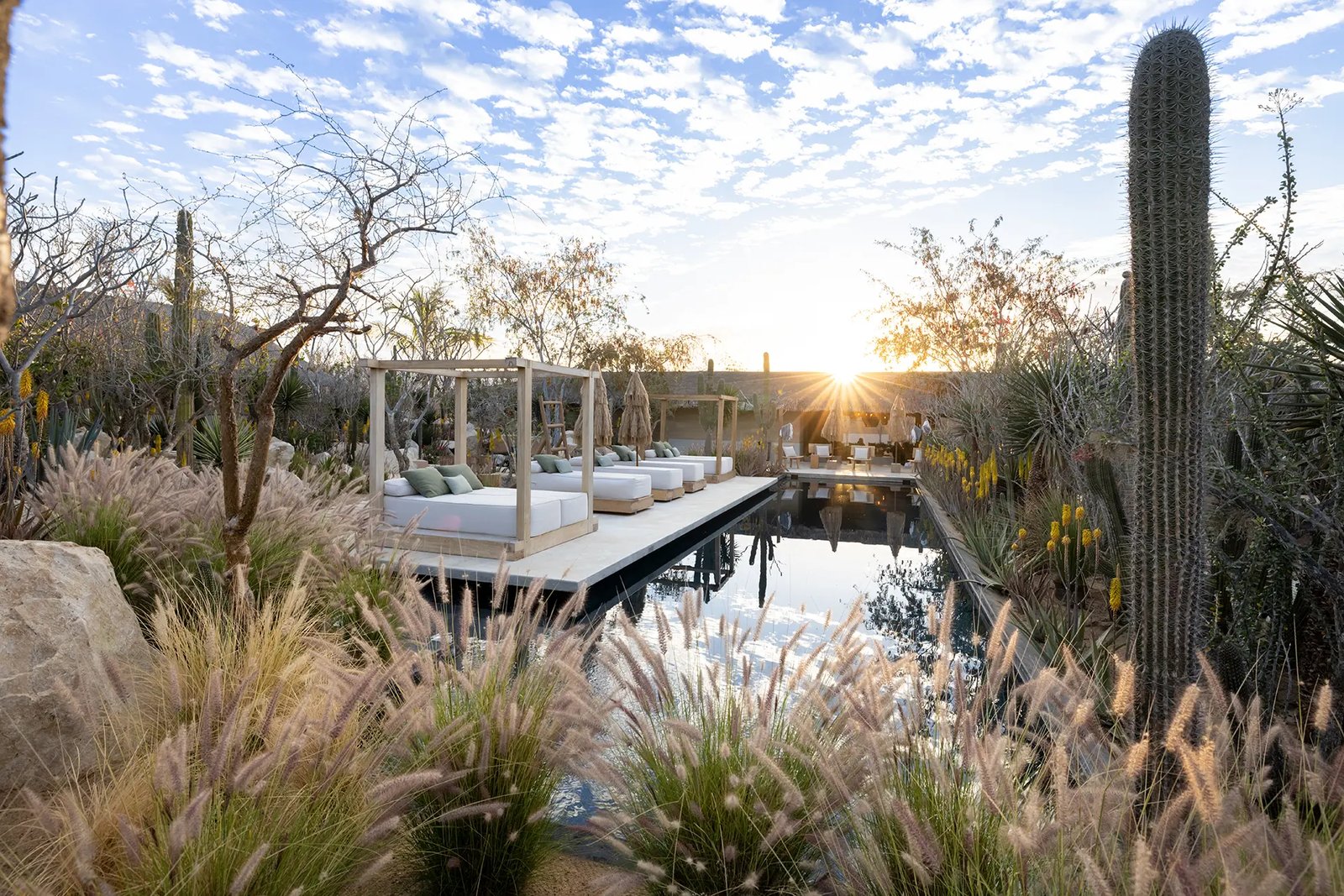 El Perdido Desert Dream, wellness