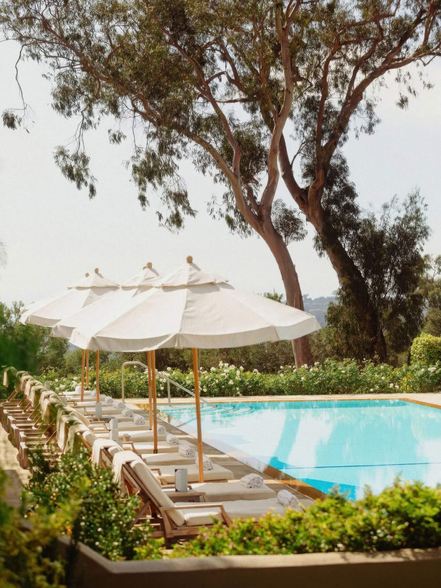El Encanto Santa Barbara — wellness