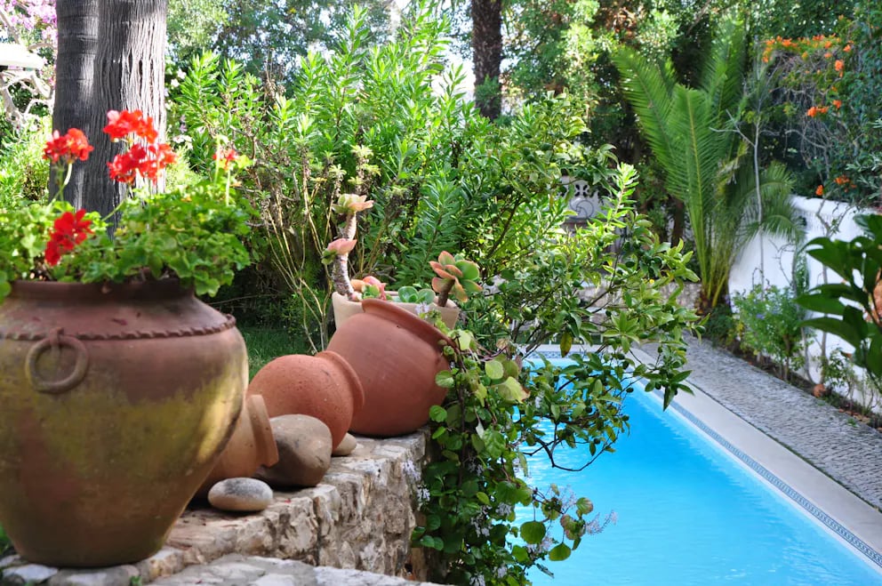 Uma Casa à Beira Sol, the pool
