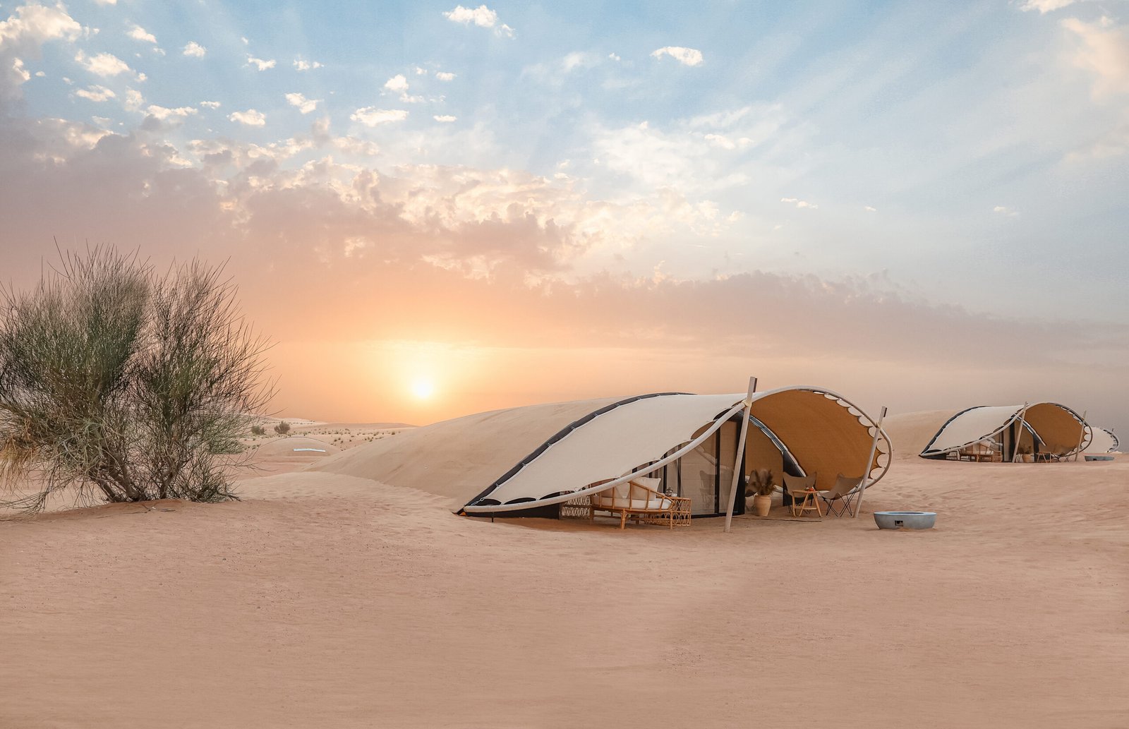 The Nest by Sonara