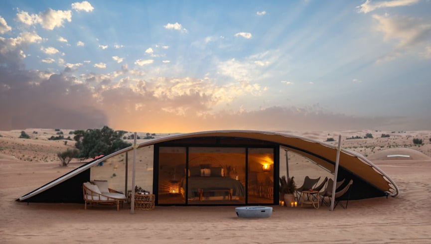 The Nest by Sonara, backstory