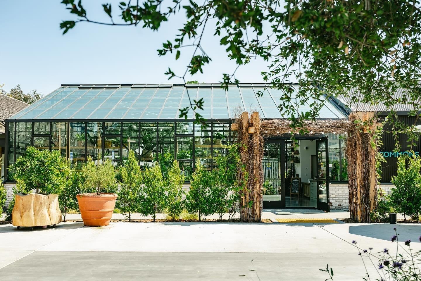 Treehouse Hotel Silicon Valley, how it began