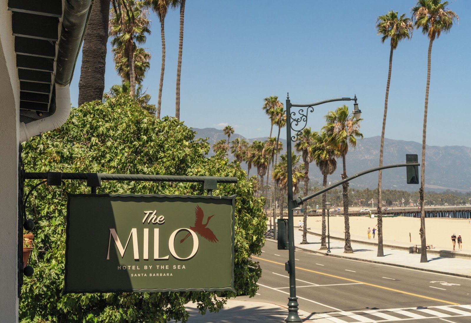The Milo — backstory