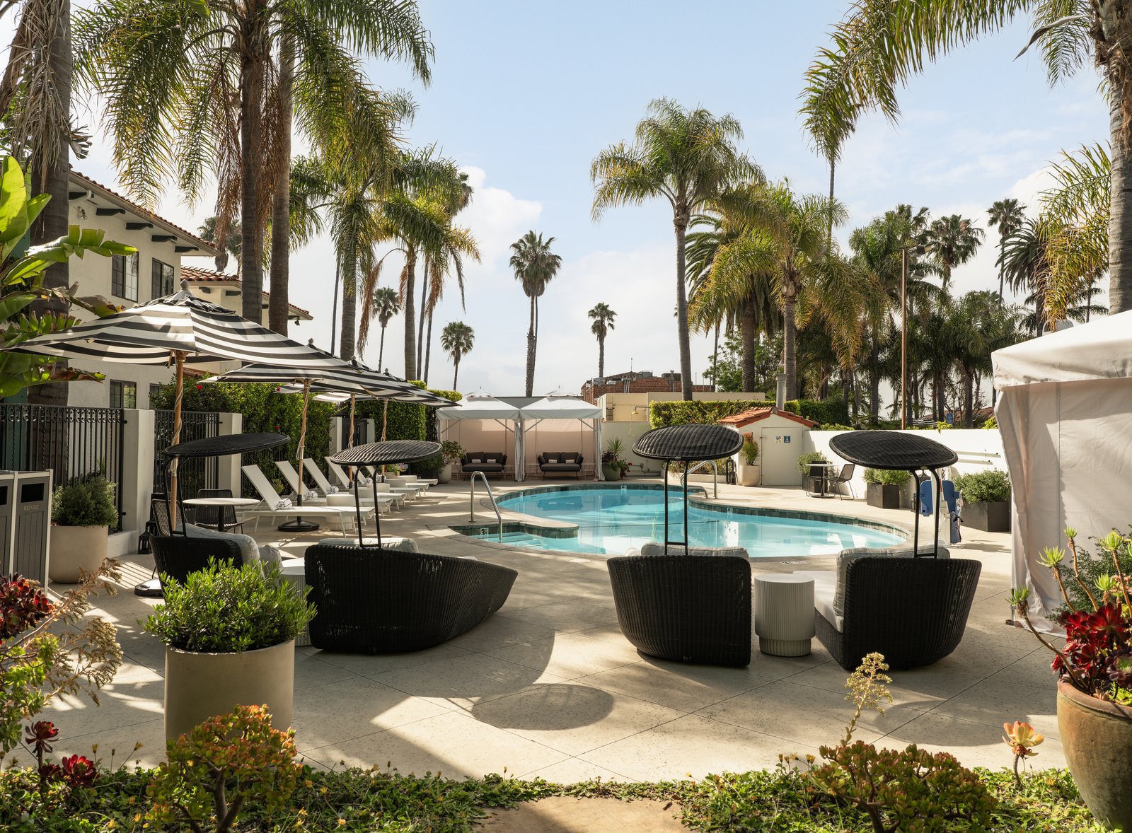 The Milo, the pool
