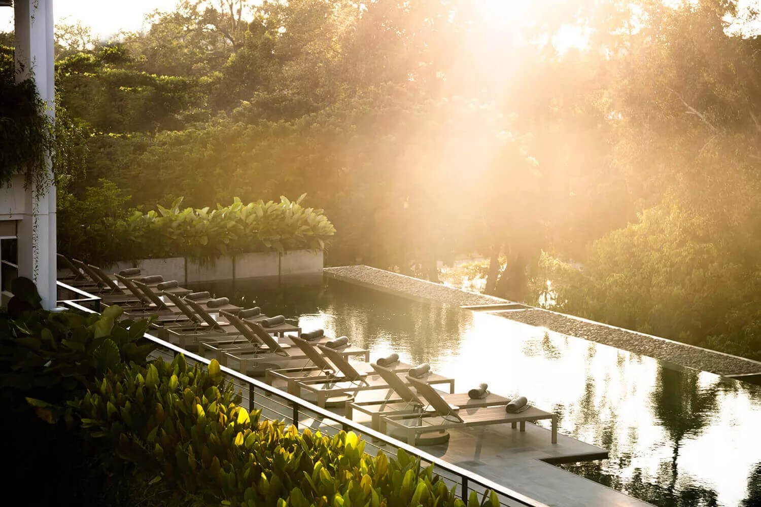 Treeline Urban Resort, the pool