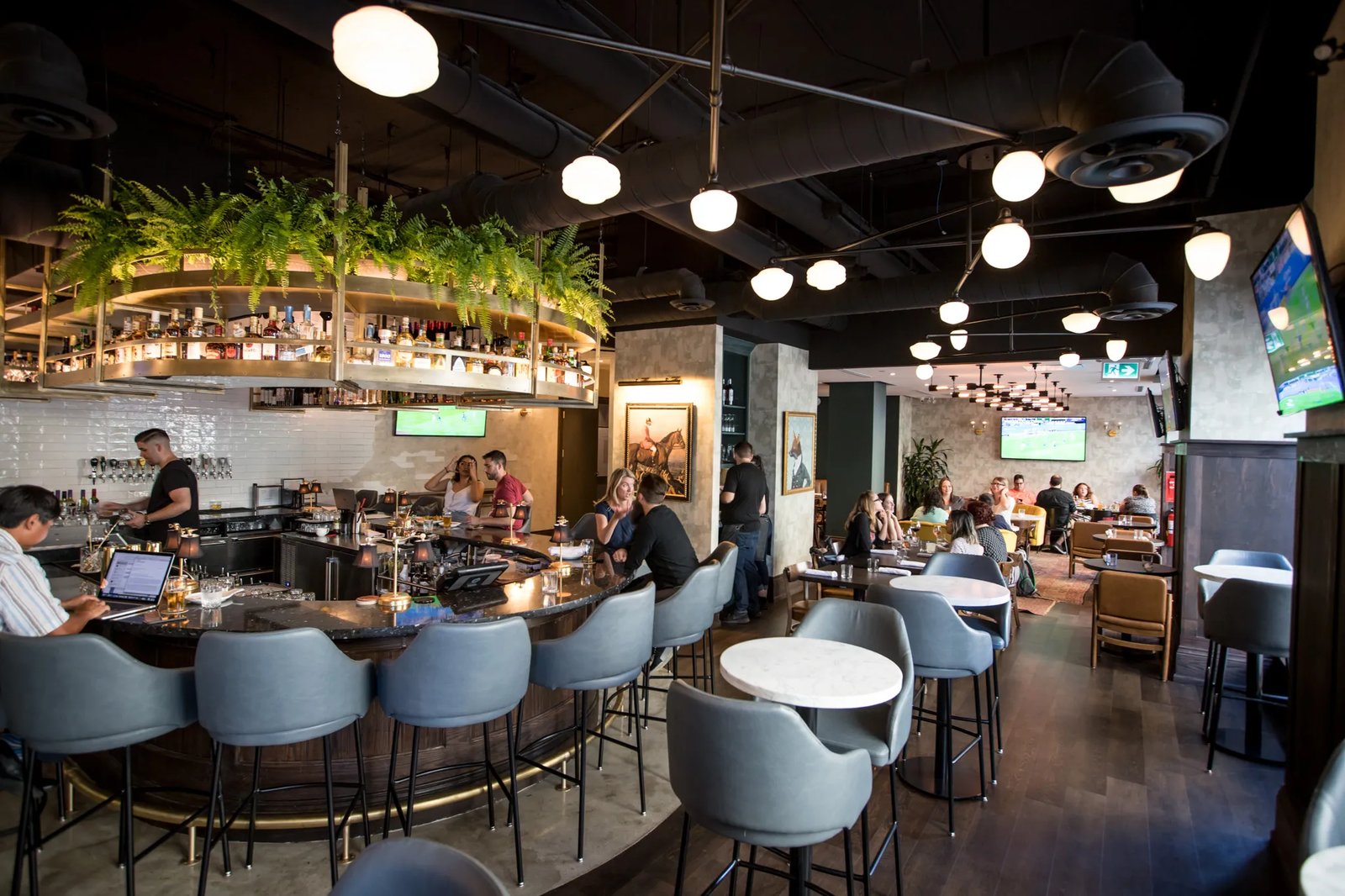 Kimpton Saint George Hotel, the fortunate fox