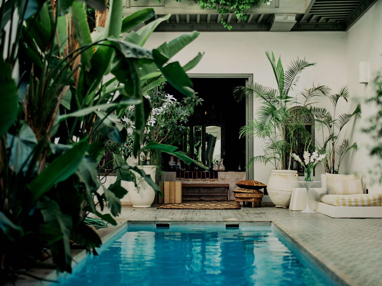 Riad Mena & Beyond