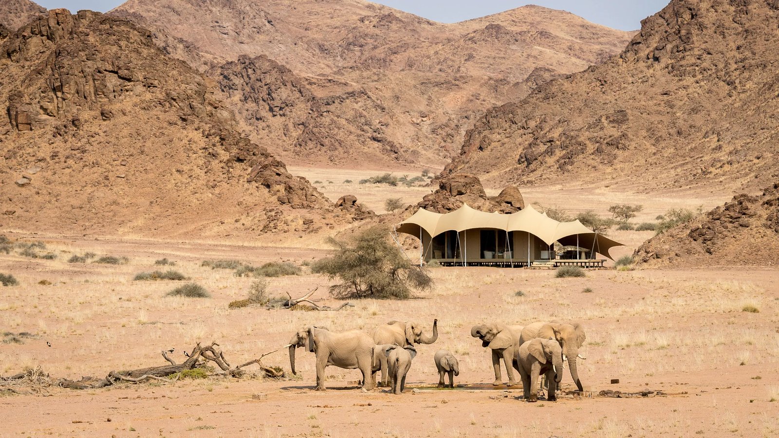 Hoanib Skeleton Coast Camp, how it began