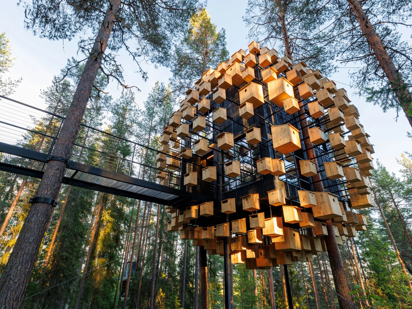 Tree Hotel, how it began