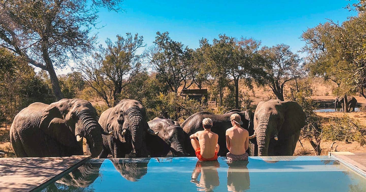 Honeyguide Tented Safari Camps, the pool