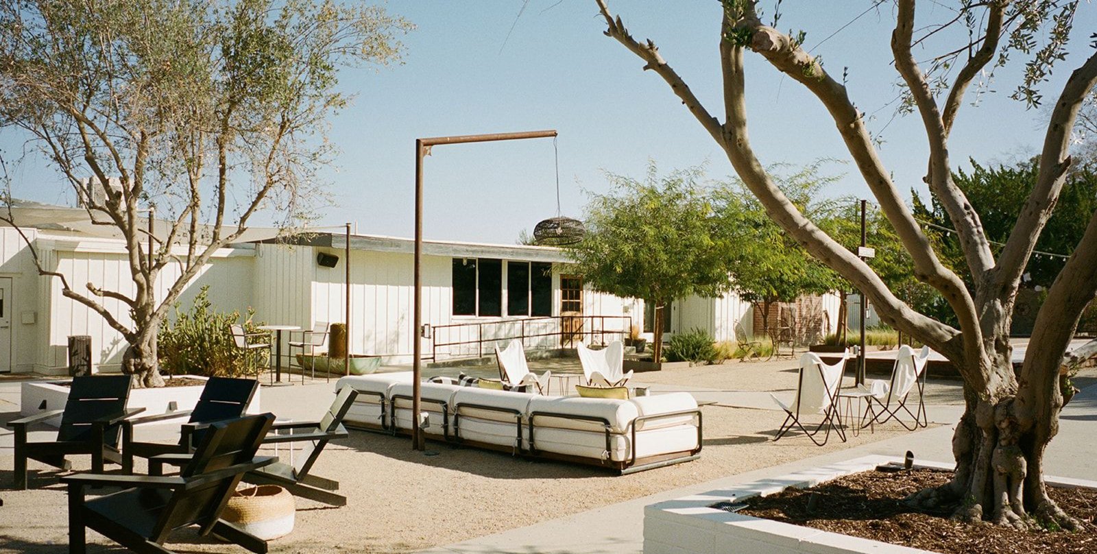 Cuyama Buckhorn