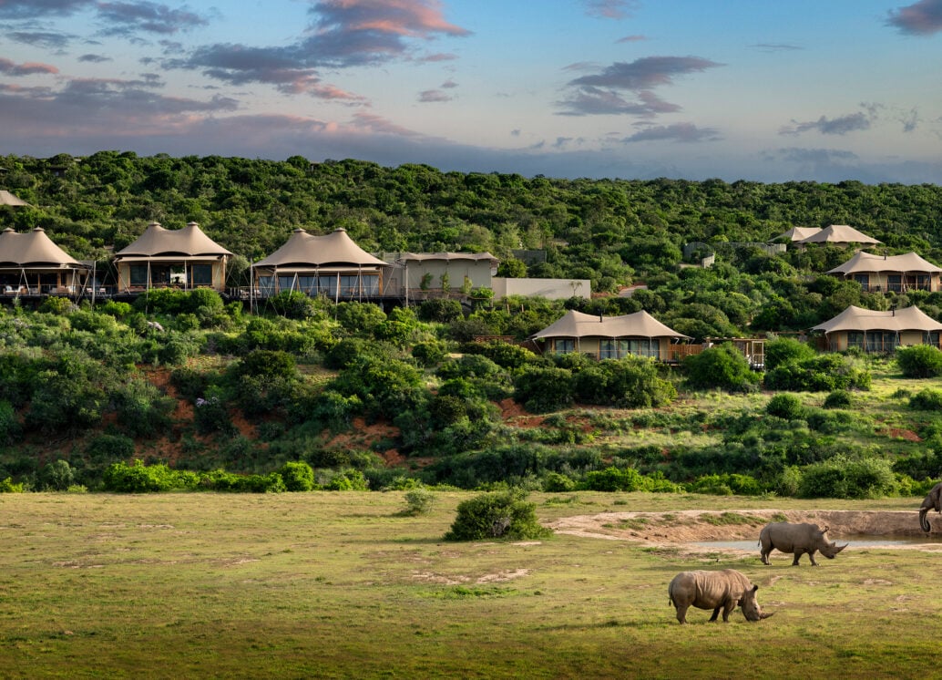 Shamwari Sindile, how it began