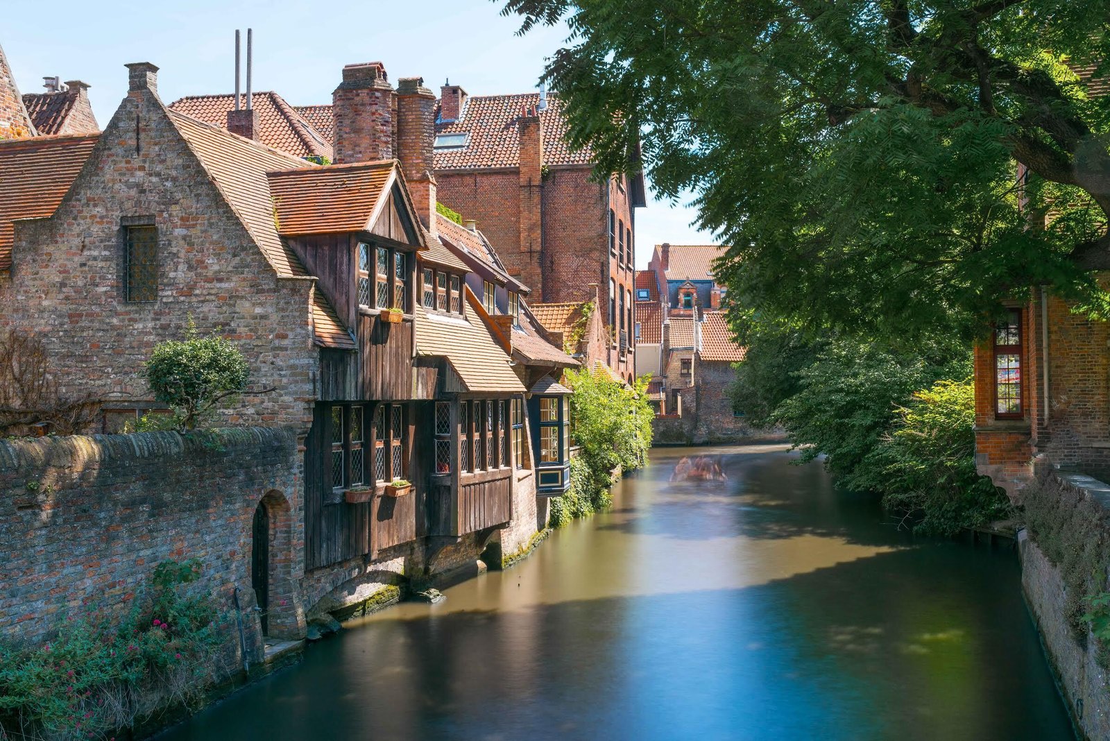 Hotel Bonifacius, how it began