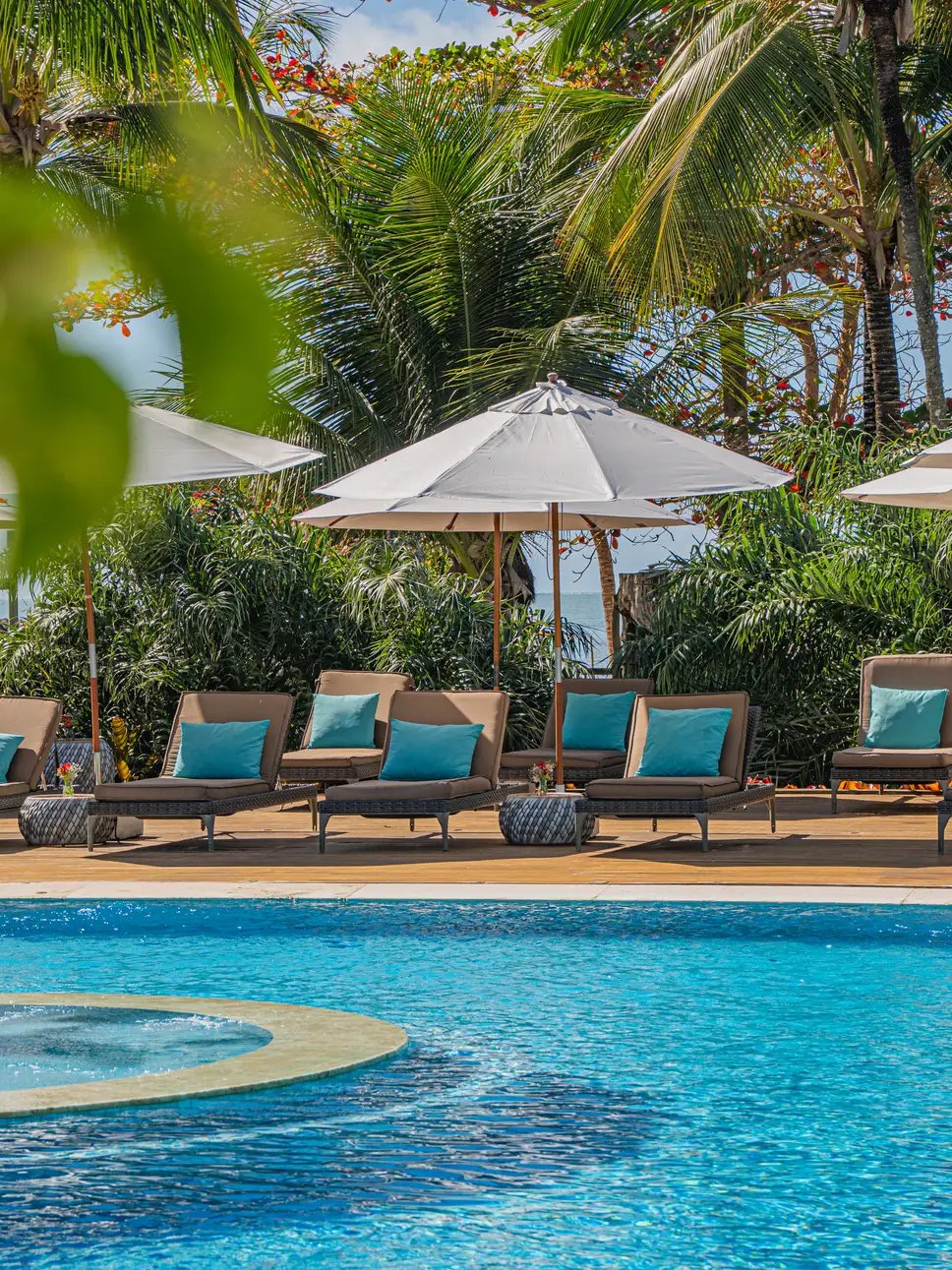 Campo Bahia, the pool