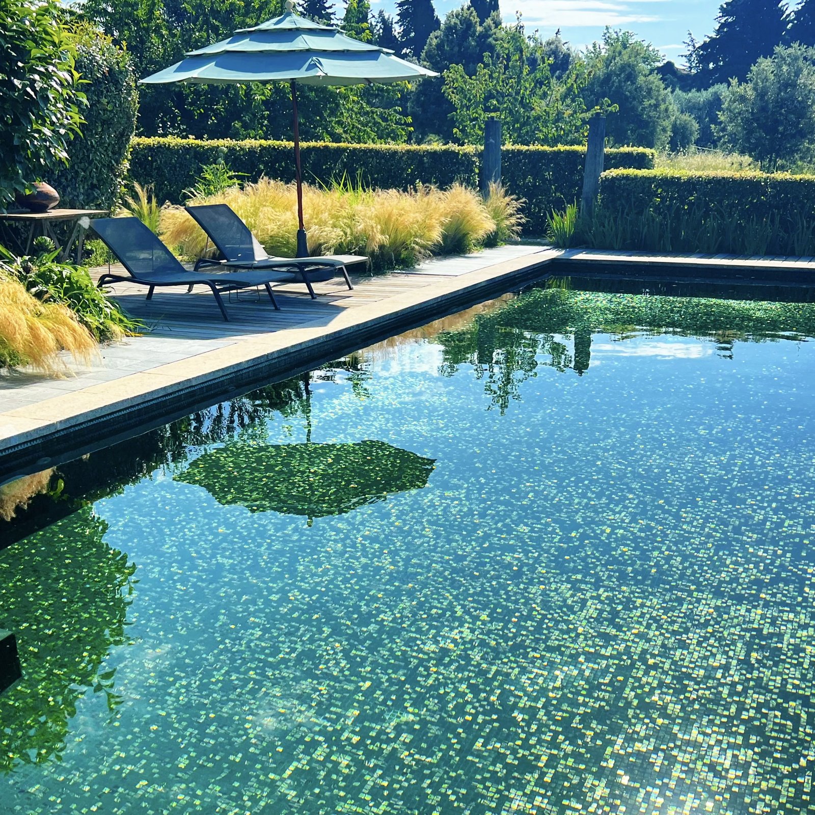 Le Pavillon de Galon, the pool