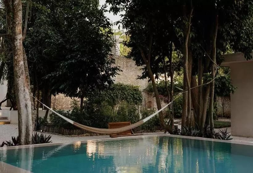 Casona Los Cedros, the pool
