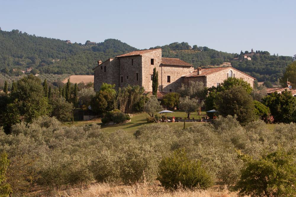 Tenuta Di Canonica, how it began