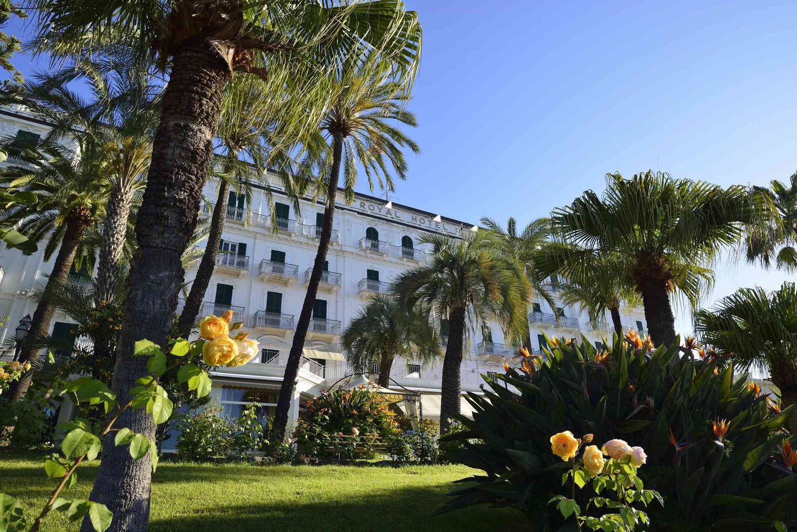 Royal Hotel Sanremo, how it began