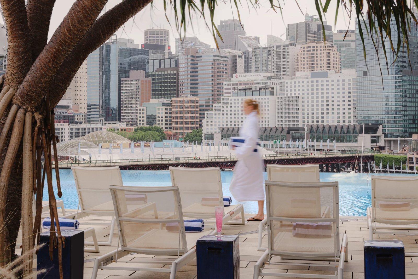 Sofitel Sydney Darling Harbour, the pool