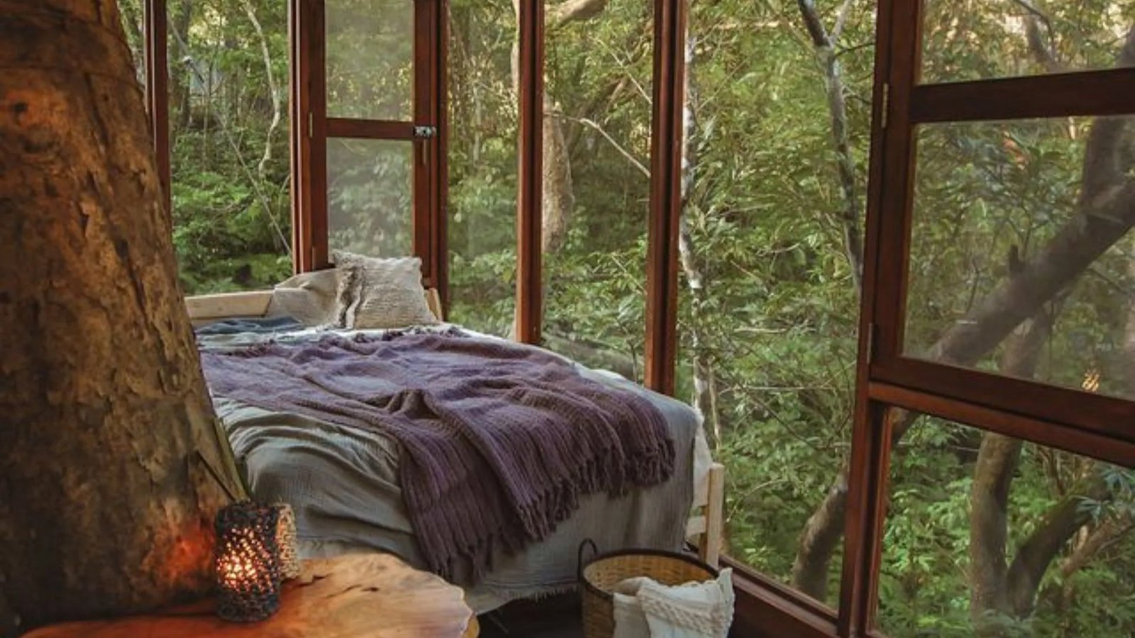 Treeful Treehouse, rooms