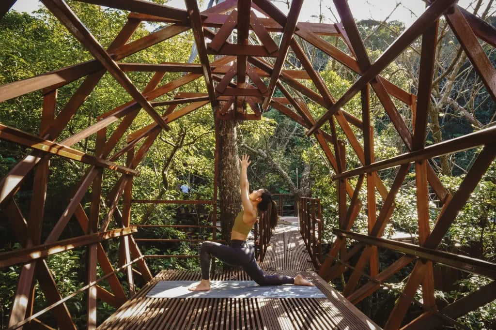 Treeful Treehouse, yoga in the forest