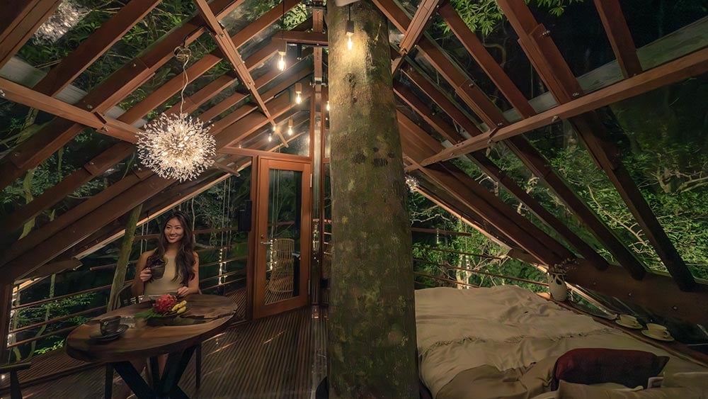 Treeful Treehouse