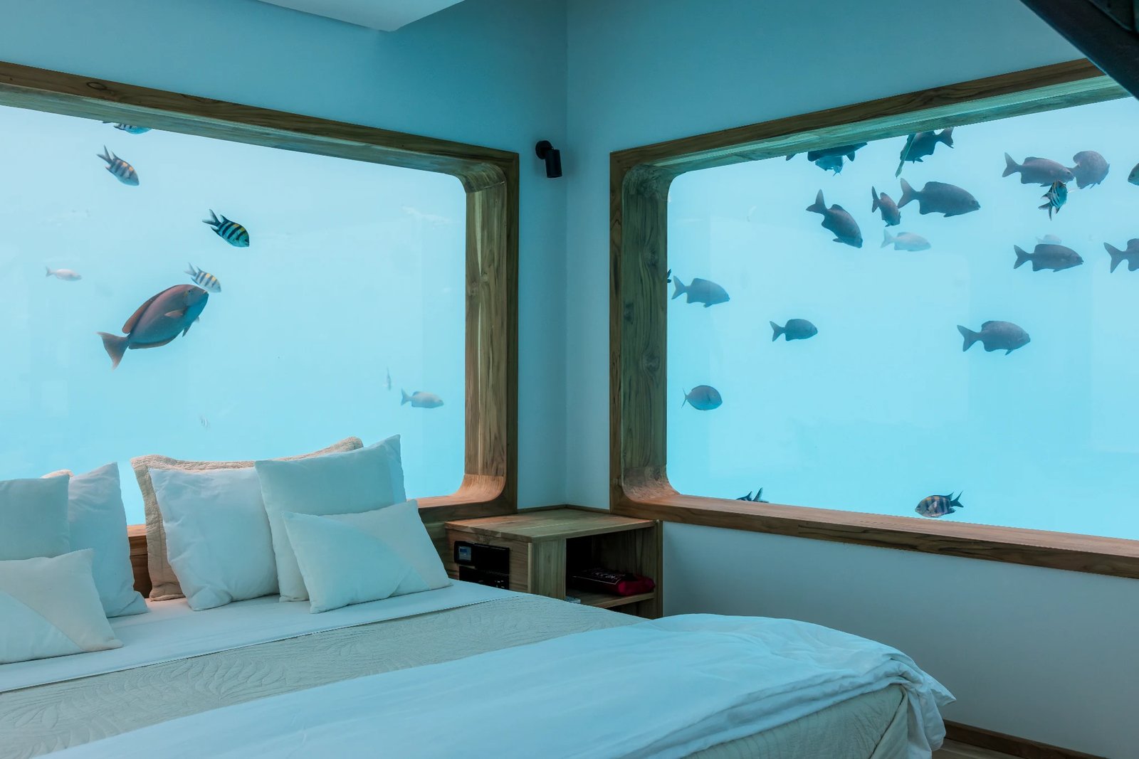 The Manta Resort & Underwater Room | Pemba Island