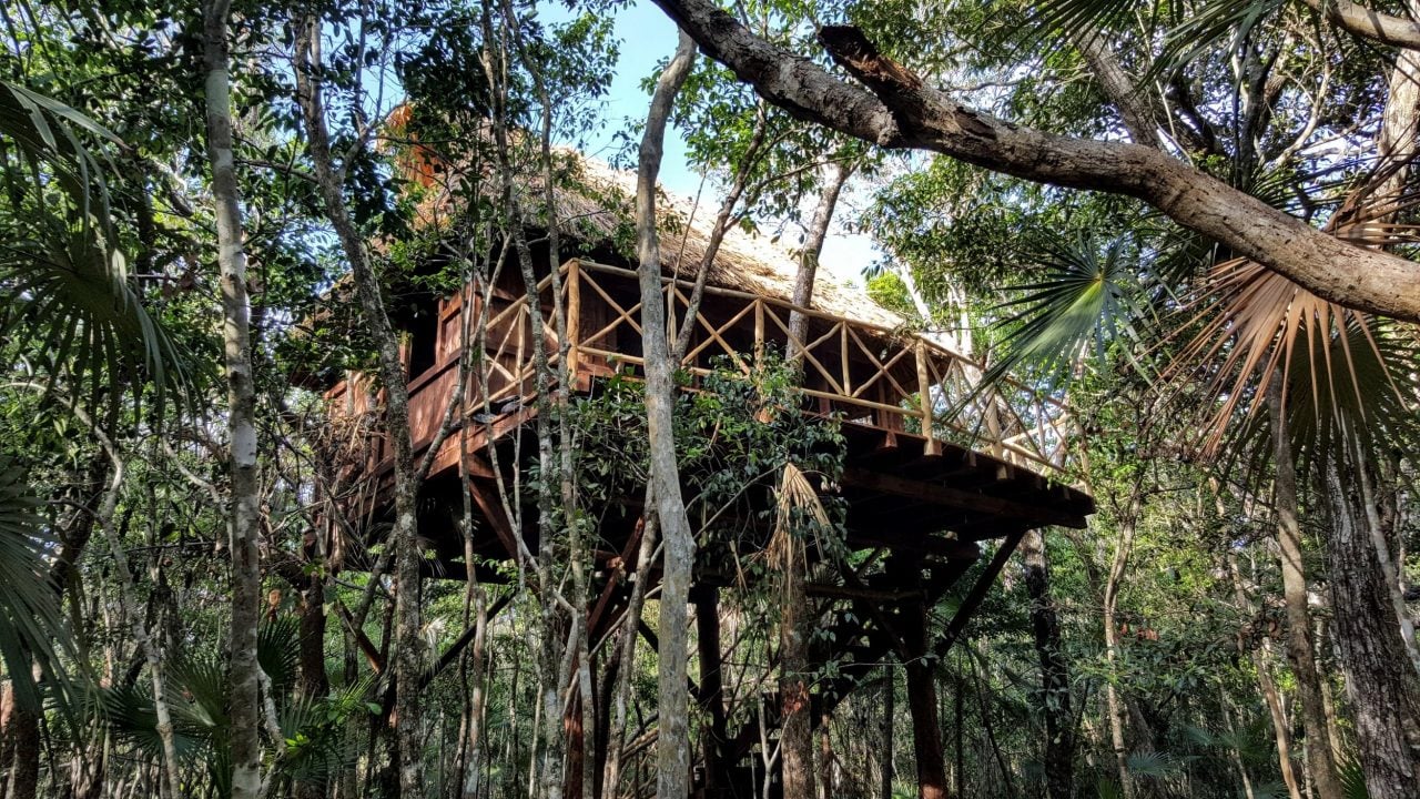 Ajal Tulum Tree Houses, how it began