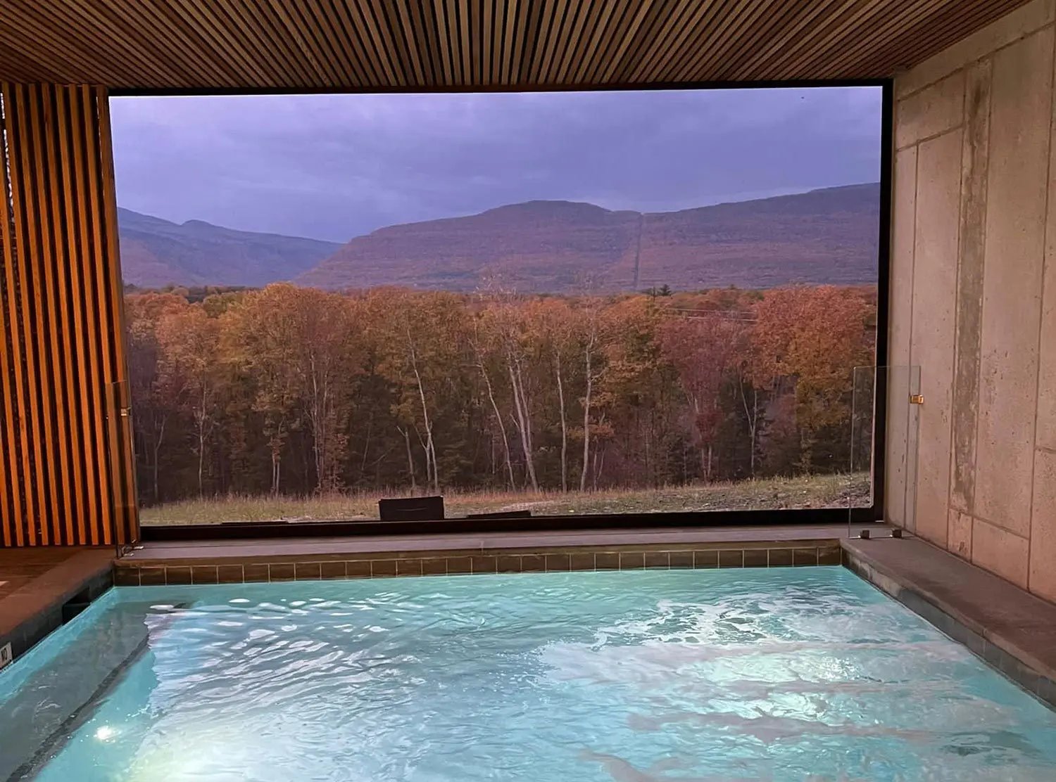 Piaule Catskill, the pool