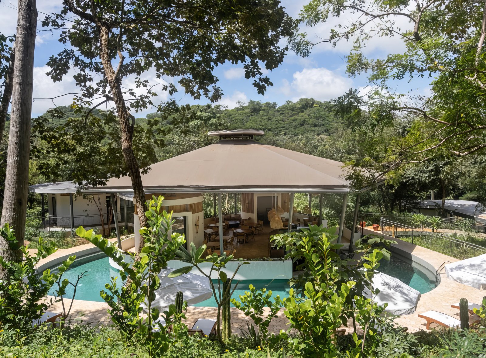 Suitree Experience Hotel, the pool