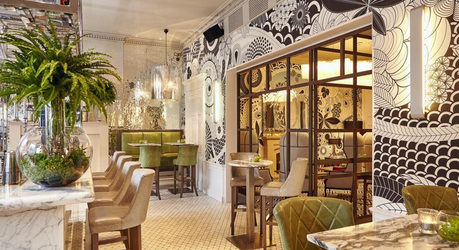 Tigerlily Edinburgh, tigerlily restaurant & bar