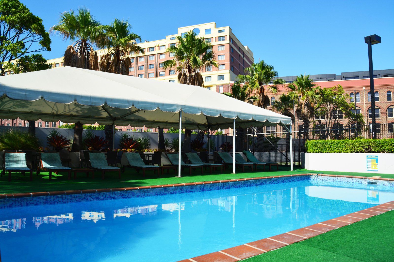 Novotel Sydney Darling Harbour, the pool