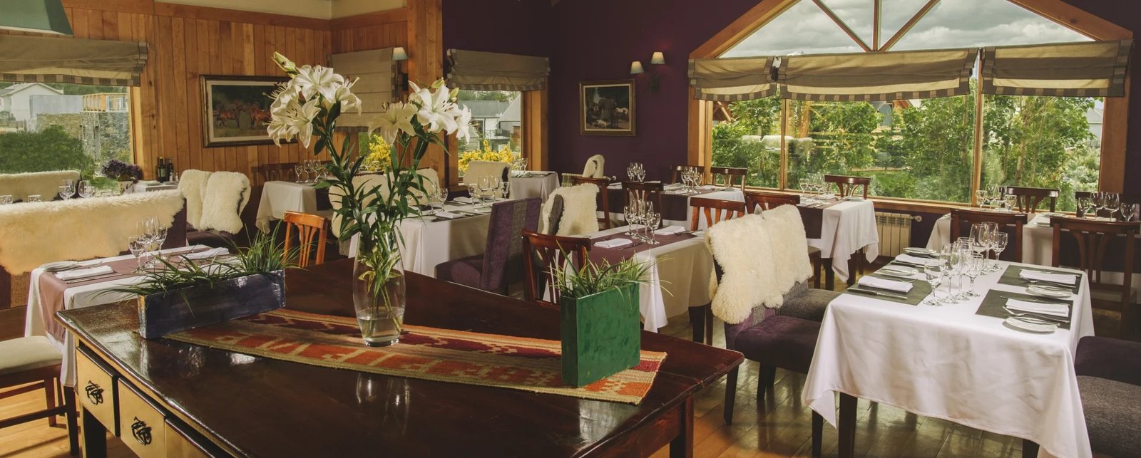 Los Cauquenes Resort + Spa + Experiences, reinamora