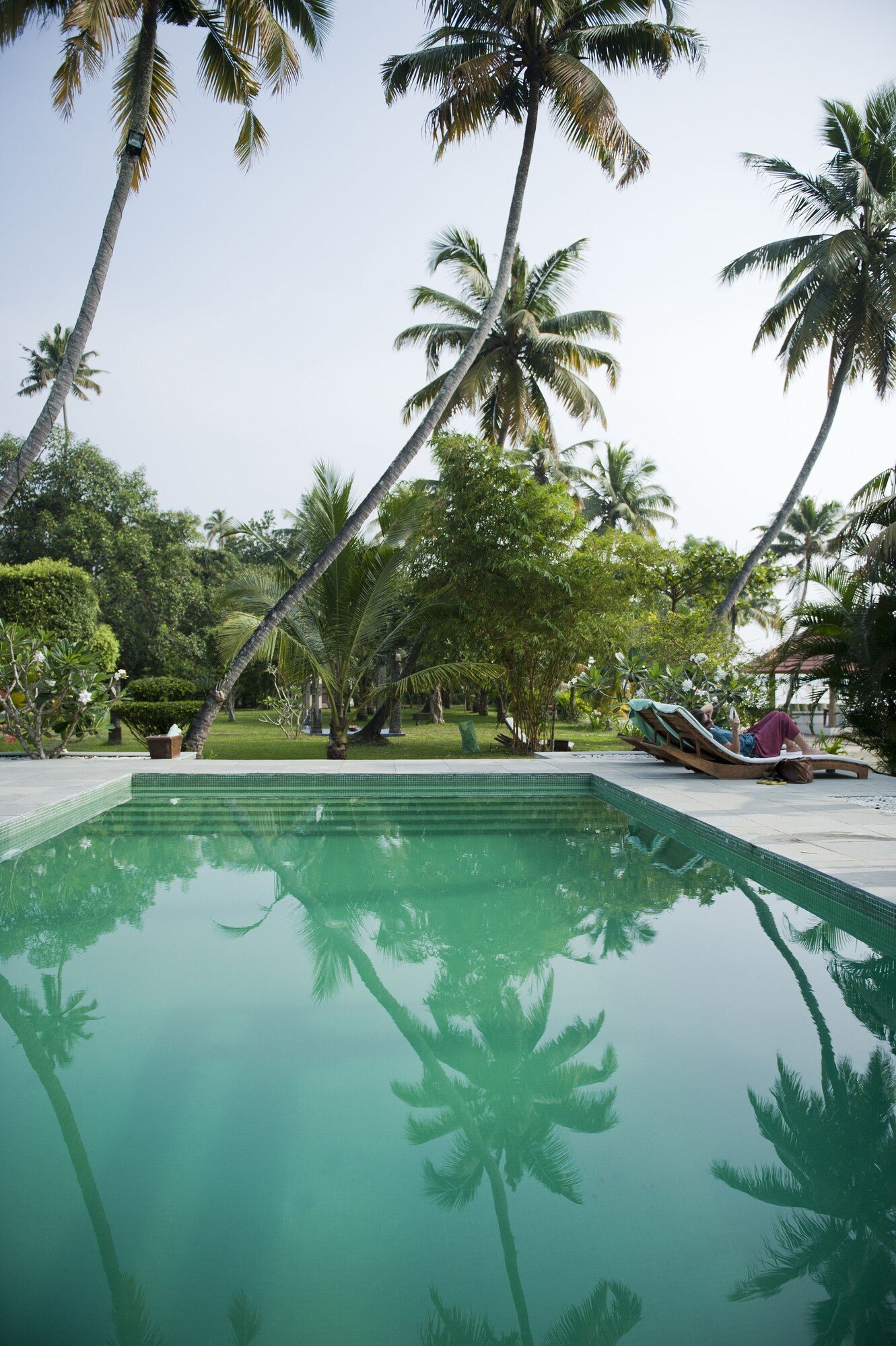 Purity @ Lake Vembanad, the pool